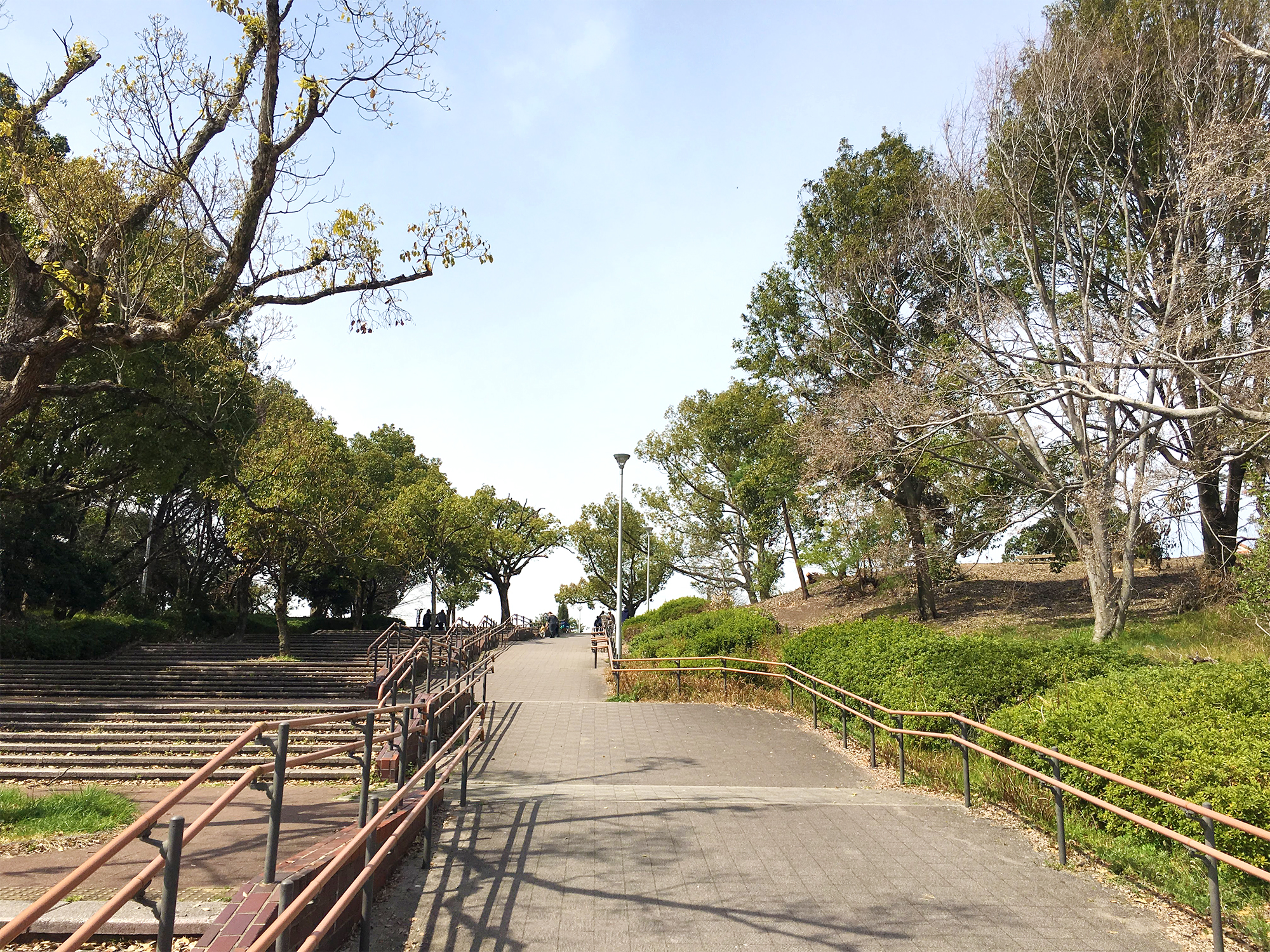 19年版 服部緑地公園の桜の開花情報 お花見スポットや見所