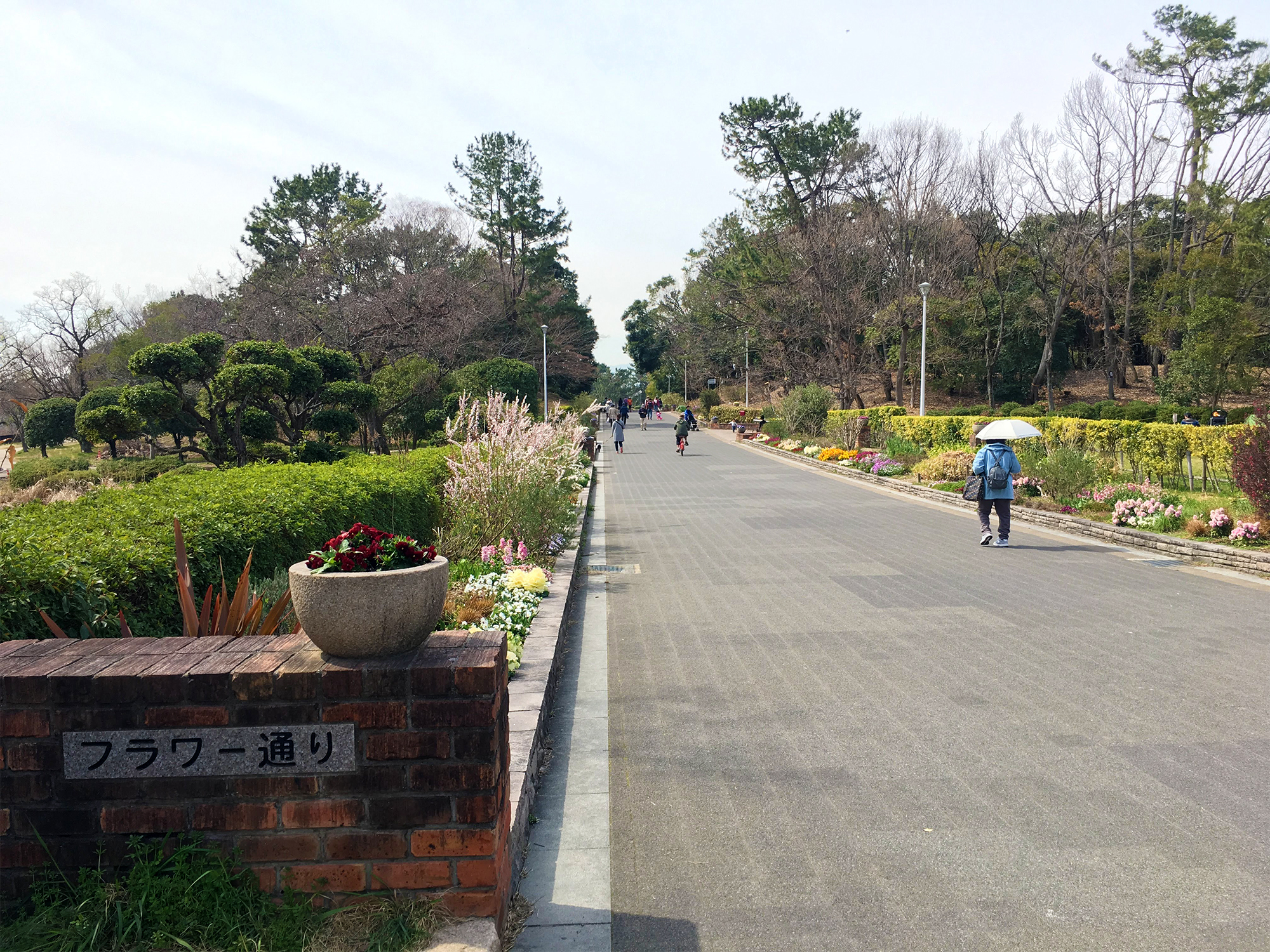 19年版 服部緑地公園の桜の開花情報 お花見スポットや見所