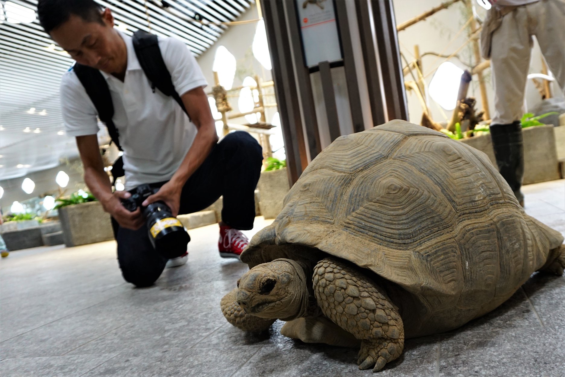 ニフレルでやさしい撮影会 ゆる くカメラを楽しむ写真部始動