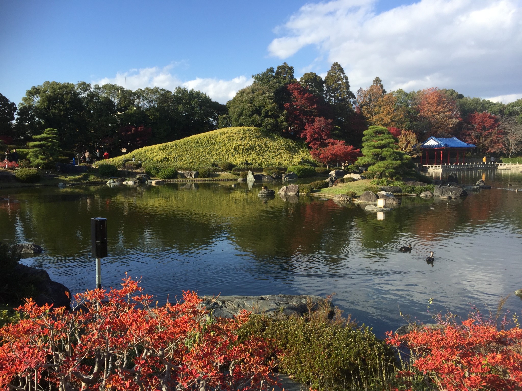 綺麗な紅葉が楽しめる日本庭園があるよ 大仙公園 大阪府堺市