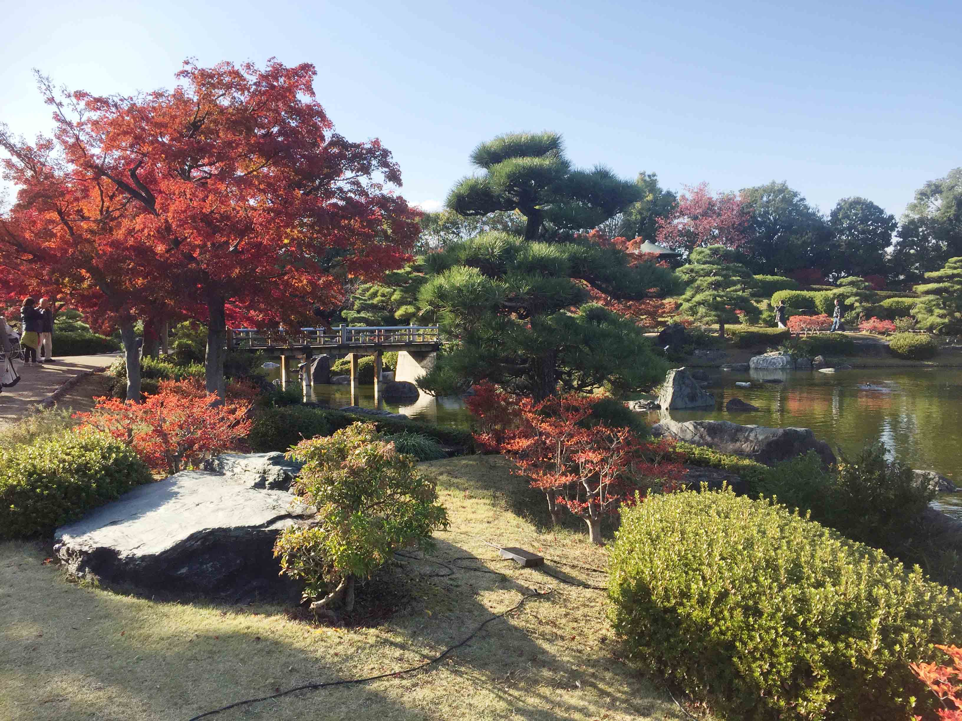 綺麗な紅葉が楽しめる日本庭園があるよ 大仙公園 大阪府堺市