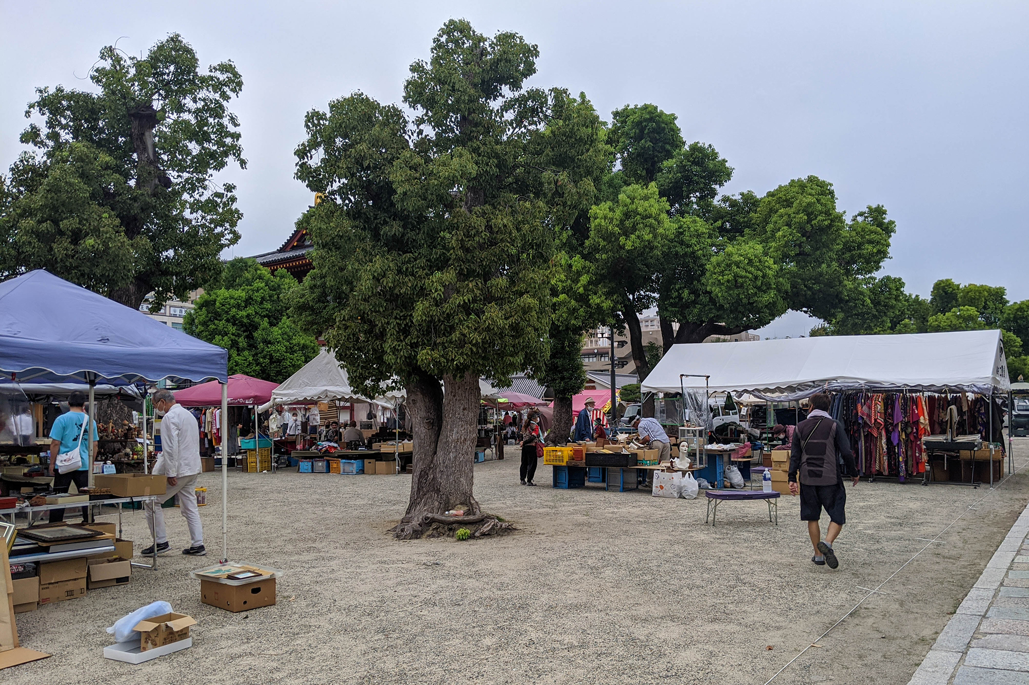 毎月21日 22日 掘り出し物を探しに四天王寺の骨董市 太子会に行こう