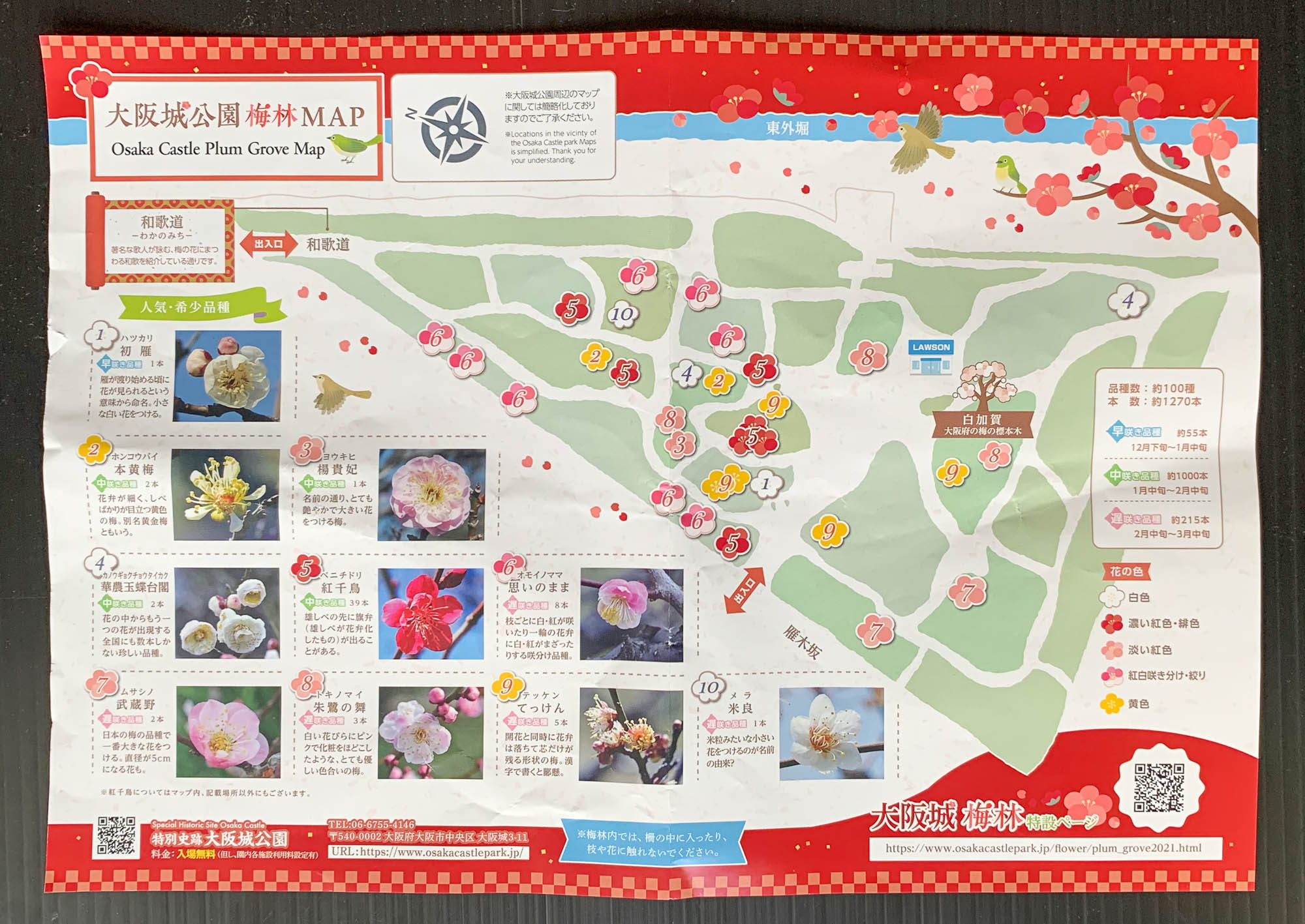 大阪城公園 梅林 22年の開花情報 見ごろとアクセス方法について